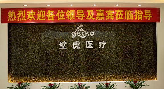 壁虎醫療